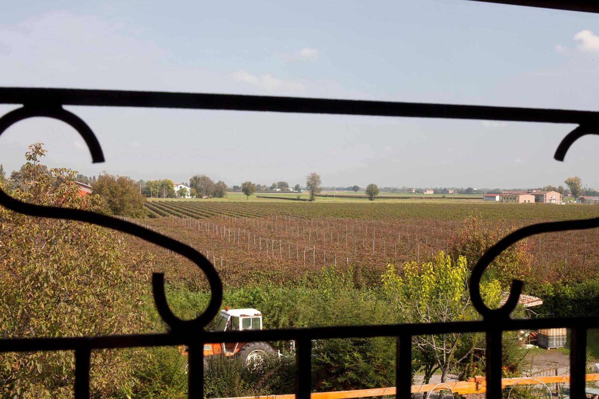 Agriturismo Il Bove Reggio Emilia Exterior foto